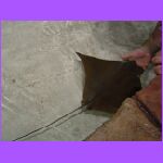 Josh Touching Fish 3.jpg